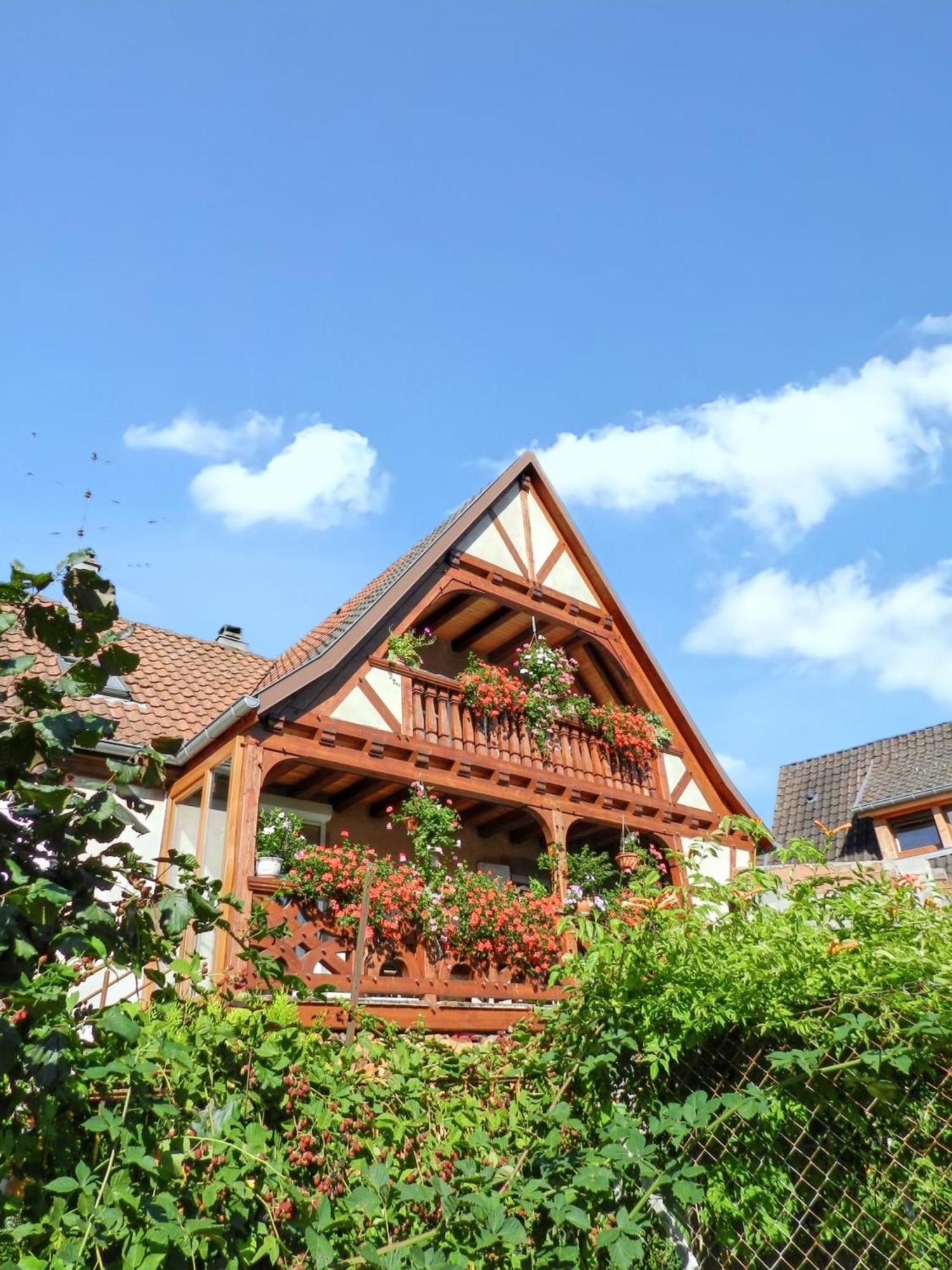 Maison Charmante Avec Vue Sur La Montagne A Triembach-Au-Val Exterior photo